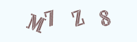 验证码